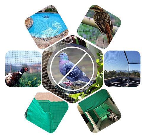Mahima Invisible Grills and Safety Nets in Vizag